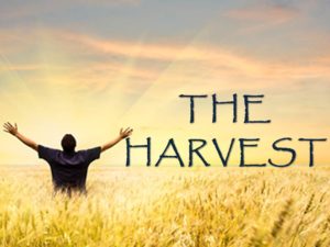 the-harvest_facebook